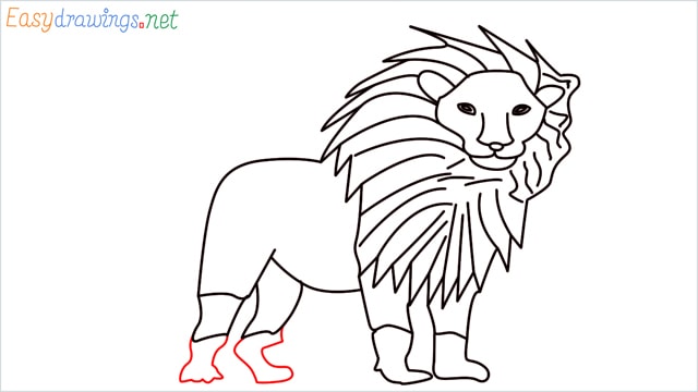 how to draw a lion step (13)