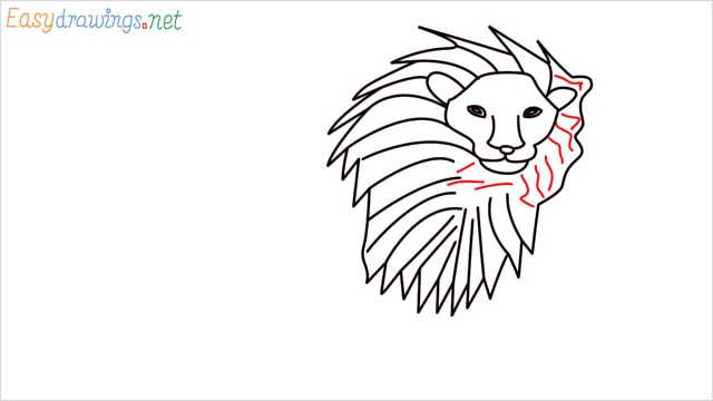 how to draw a lion step (8)