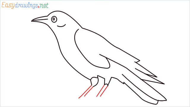 How to draw a Raven step (10)