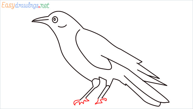 How to draw a Raven step (11)