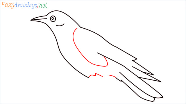 How to draw a Raven step (8)