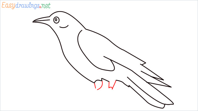 How to draw a Raven step (9)