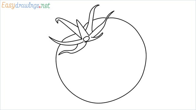 How to draw a Tomato step by step