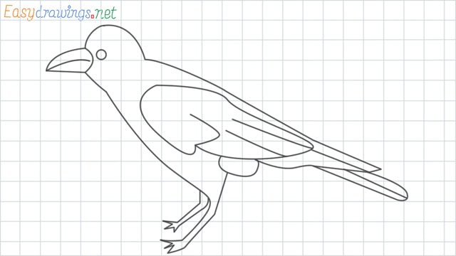 Crow grid line drawing