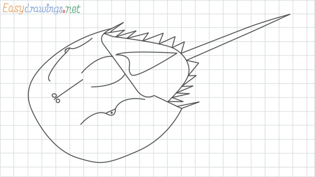 Horseshoe crab grid line drawing