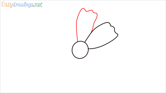 How to draw a Marigold flower step (3)