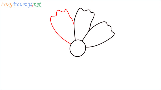 How to draw a Marigold flower step (4)