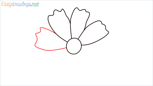 How to draw a Marigold flower step (5)