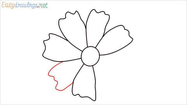 How to draw a Marigold flower step (7)