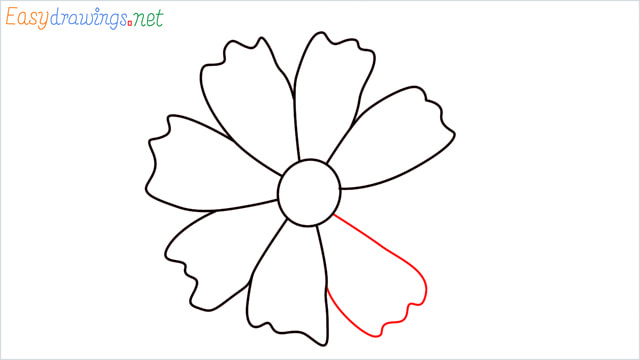 How to draw a Marigold flower step (8)