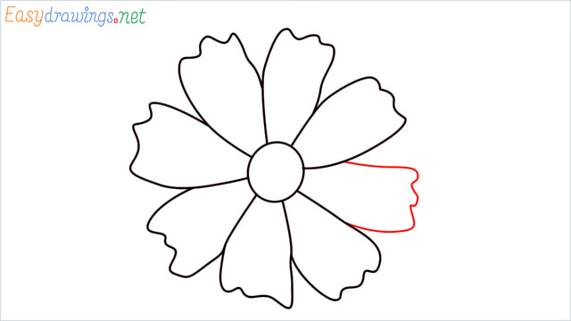 How to draw a Marigold flower step (9)