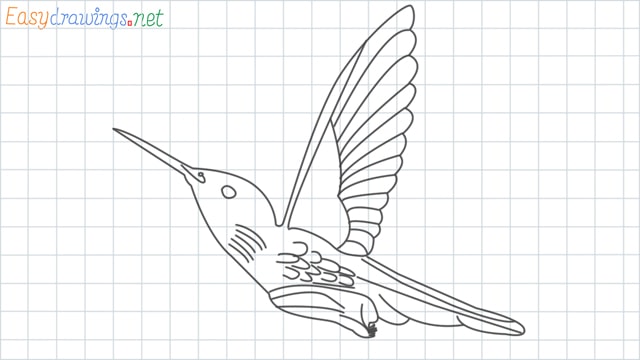 Hummingbird grid line drawing