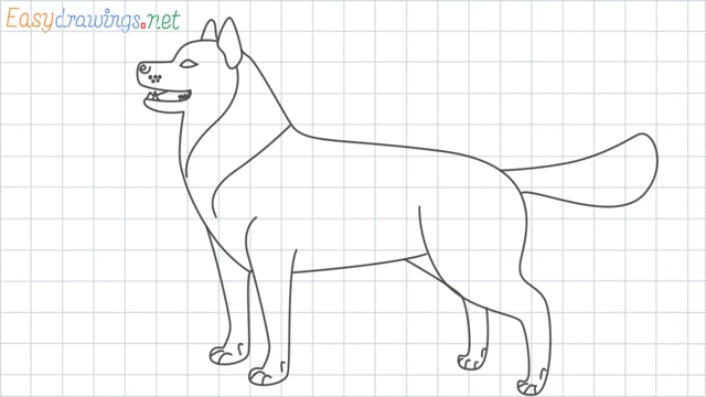 Husky grid line drawing