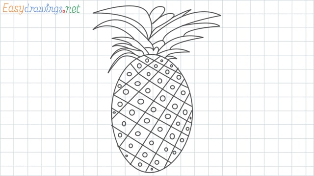 Pineapple grid line drawing