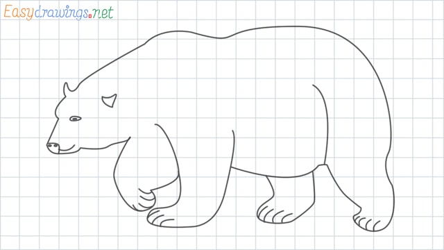 Polar bear grid line drawing