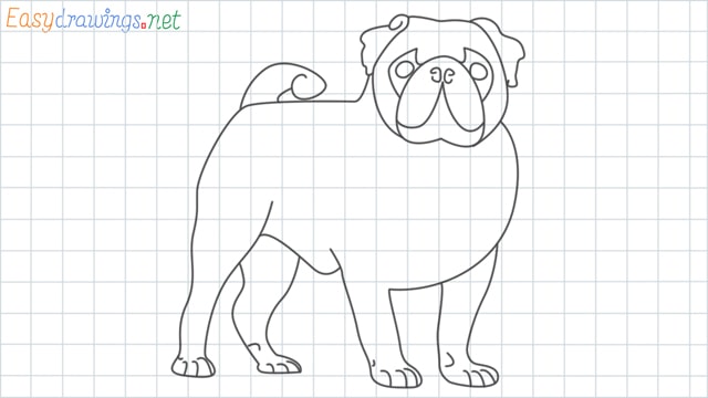 Pug grid line drawing