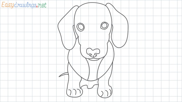 Puppy grid line drawing