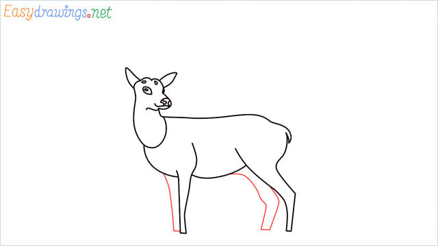 How to draw a Reindeer step (10)