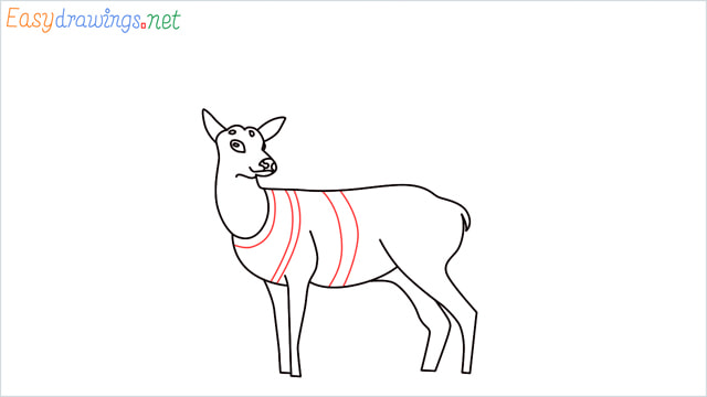 How to draw a Reindeer step (11)