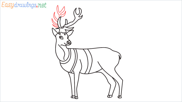 How to draw a Reindeer step (15)