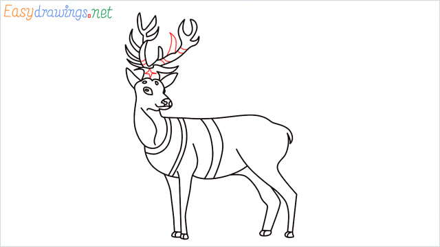 How to draw a Reindeer step (16)