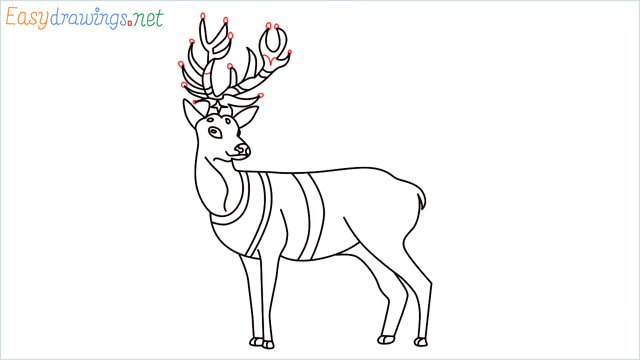 How to draw a Reindeer step (17)