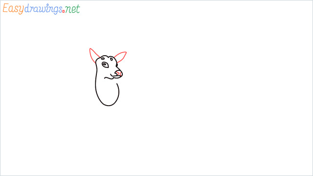 How to draw a Reindeer step (5)