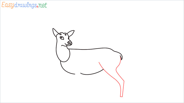 How to draw a Reindeer step (8)