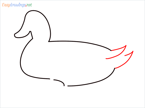 duck drawing for kids step (5)