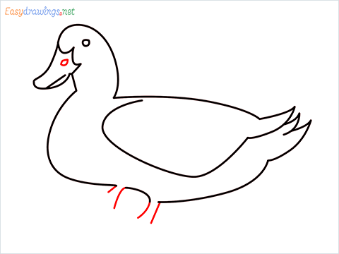 duck drawing for kids step (8)