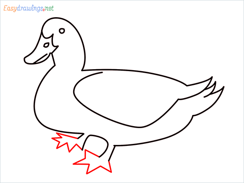 duck drawing for kids step (9)