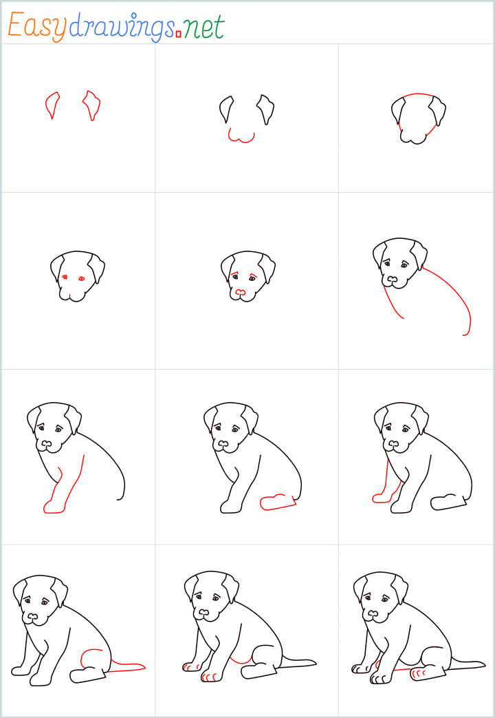Sitting dog drawing Overview