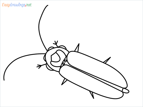 how to draw a Firefly step by step for beginners