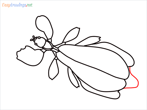 how to draw a leaf insect step (11)