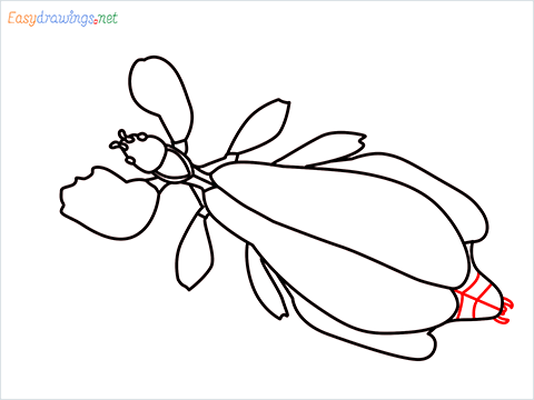 how to draw a leaf insect step (12)