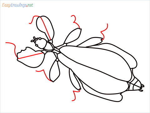 how to draw a leaf insect step (13)