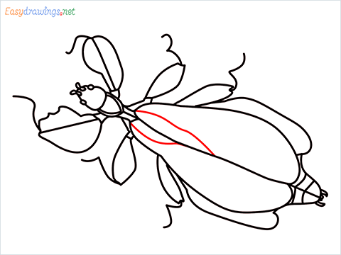 how to draw a leaf insect step (14)