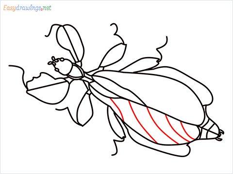 how to draw a leaf insect step (15)