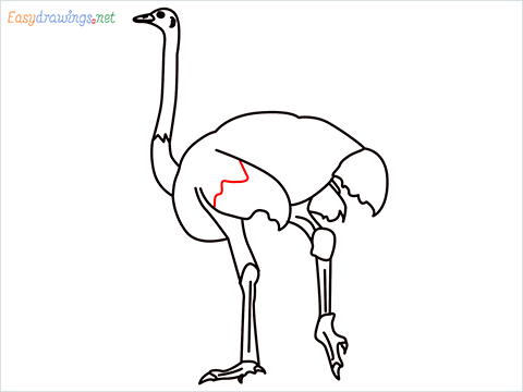 how to draw a ostrich step (10)
