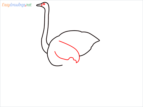 how to draw a ostrich step (3)