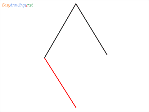 How to draw a Rhombus shape step (3)