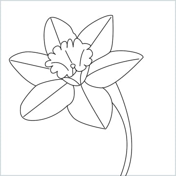 Draw a Daffodil