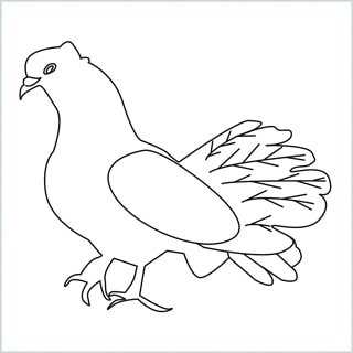 Draw a Dove