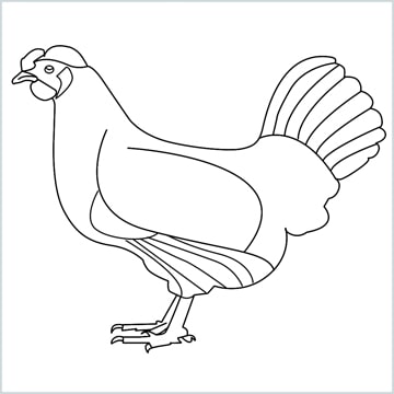 Draw a Hen