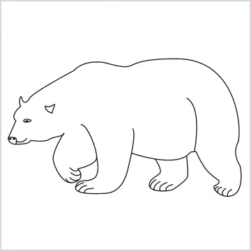 Draw a Polar bear