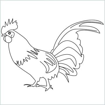Draw a Rooster