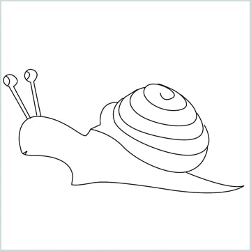Draw a Snail