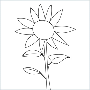 Draw a Sunflower