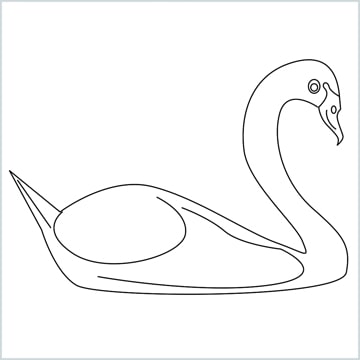 Draw a Swan