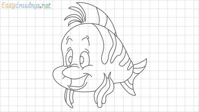 Flounder grid line drawing